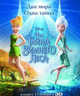 Феи: Тайна зимнего леса (видео) / Secret of the Wings (V) (2012)