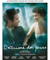 Пена дней / L'écume des jours (2013)