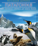 Патагония: По следам Дарвина (видео) / Patagonien (V) (2012)