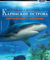 Карибские острова: Погружение с акулами (видео) / Adventure Carribean: Diving With Sharks (V) (2012)