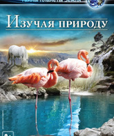 Изучая природу (видео) / Experience Nature (V) (2013)