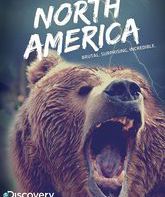 Discovery: Северная Америка (сериал) / North America (TV series) (2013)