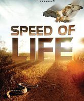 Discovery: Скорость жизни (мини-сериал) / Speed of Life (TV mini-series) (2010)