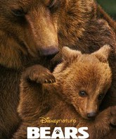 Медведи / Bears (2014)