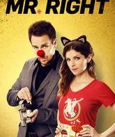 Мой парень – киллер / Mr. Right (2015)