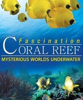 Коралловый риф: Удивительные подводные миры / Fascination Coral Reef: Mysterious Worlds Underwater (2012)
