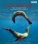 Галапагосы (ТВ) / BBC: Galápagos (TV) (2007)
