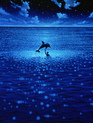 Голубая бездна / Le grand bleu (The Big Blue) (1988)