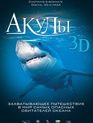 Акулы 3D / Sharks 3D (IMAX) (2004)