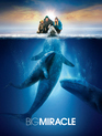 Все любят китов / Big Miracle (2012)