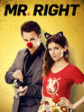 Мой парень – киллер / Mr. Right (2015)