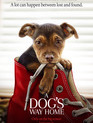 Путь домой / A Dog's Way Home (2019)