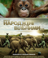 Рожденные на воле /  ()