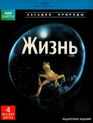 Жизнь (Подарочное издание) [Blu-ray] / BBC: Life (4-Disc Edition)