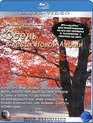 Живые пейзажи: Осень в лесах Новой Англии [Blu-ray] / Living Landscapes - Earthscapes: Fall in New England