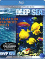 Обитатели Красного моря (Часть 2) [Blu-ray] / Inhabitants of the Red Sea (Part 2)