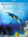 Коралловый риф (3D) [Blu-ray 3D] / Faszination Korallenriff (3D)