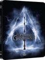 Фантастические твари: Преступления Грин-де-Вальда (Steelbook) [Blu-ray] / Fantastic Beasts: The Crimes of Grindelwald (Steelbook)