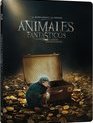 Фантастические твари и где они обитают (Steelbook) [Blu-ray] / Fantastic Beasts and Where to Find Them (Steelbook)