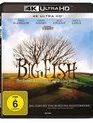 Крупная рыба [4K UHD Blu-ray] / Big Fish (4K)