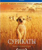 Сурикаты [Blu-ray] / The Meerkats