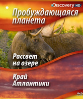 Пробуждающаяся планета: Рассвет на озере и Скандинавский водопад [Blu-ray] / Sunrise Earth: Moose in the Morning & Scandinavian Waterfall