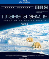 Планета Земля (4-х дисковое издание) [Blu-ray] / BBC: Planet Earth (4-Disc Edition)