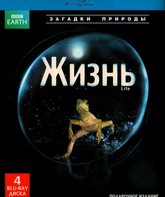 Жизнь (Подарочное издание) [Blu-ray] / BBC: Life (4-Disc Edition)