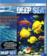 Обитатели Красного моря (Часть 2) [Blu-ray] / Inhabitants of the Red Sea (Part 2)