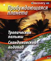 Пробуждающаяся планета: Полное затмение и Тропические пальмы [Blu-ray] / Sunrise Earth: Total Eclipse & Tropical Palms