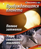 Пробуждающаяся планета: Край Атлантики и Утро семейства тюленей [Blu-ray] / Sunrise Earth: Edge of the Atlantic & Sunrise Seal Colony