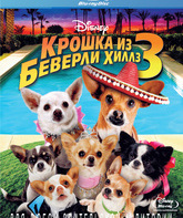 Крошка из Беверли-Хиллз 3 [Blu-ray] / Beverly Hills Chihuahua 3: Viva La Fiesta!