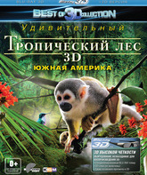 Тропический лес (3D) [Blu-ray 3D] / Rainforest (3D)