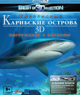 Карибские острова: Погружение с акулами (3D) [Blu-ray 3D] / Adventure Carribean: Diving With Sharks (3D)