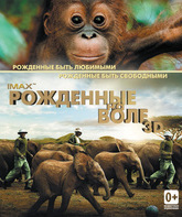 Рожденные на воле (3D) [Blu-ray 3D] / Born to Be Wild (3D)