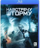 Навстречу шторму [Blu-ray] / Into the Storm