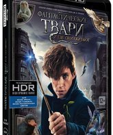 Фантастические твари и где они обитают [4K UHD Blu-ray] / Fantastic Beasts and Where to Find Them (4K)