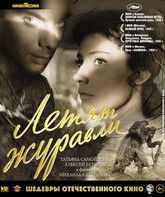 Летят журавли [Blu-ray] / Letyat zhuravli