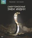 Живой мир. Смертоносные змеи Индии [Blu-ray] / BBC: The Natural World - One Million Snake Bites