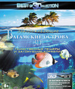 Багамские острова: Таинственные пещеры и затонувшие корабли (3D) [Blu-ray 3D] / Adventure Bahamas: Mysterious Caves And Wrecks (3D)