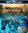 Эверглейдс: Ламантины Кристальной реки (3D) [Blu-ray 3D] / Adventure Everglades: The Manatees of Crystal River (3D)