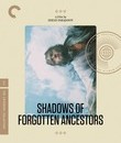 Тени забытых предков [4K UHD Blu-ray] / Shadows of Forgotten Ancestors (4K)