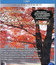 Живые пейзажи: Осень в лесах Новой Англии [Blu-ray] / Living Landscapes - Earthscapes: Fall in New England