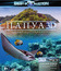 Папуа: Секретный остров каннибалов (3D) [Blu-ray 3D] / Papua (3D)