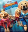 Пятерка супергероев [Blu-ray] / Super Buddies