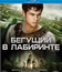 Бегущий в лабиринте [Blu-ray] / The Maze Runner