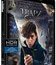 Фантастические твари и где они обитают [4K UHD Blu-ray] / Fantastic Beasts and Where to Find Them (4K)