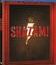 Шазам! (Steelbook) [Blu-ray] / Shazam! (Steelbook)