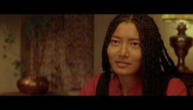 Семь лет в Тибете [Blu-ray] / Seven Years in Tibet