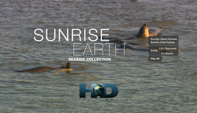 Пробуждающаяся планета (4-х дисковое издание) [Blu-ray] / Sunrise Earth: Seaside Collection (4-Disc Edition)